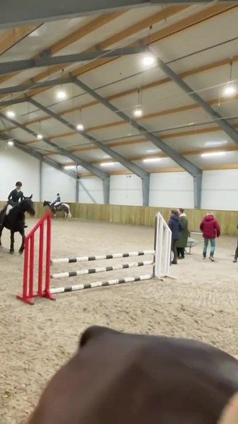 main.loland (@main.loland)’s videos with Try - P!NK