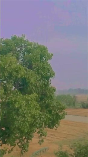 Apna pyara gaon 🥹🥰🥰