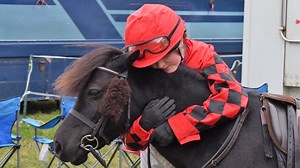 Mini marvel Shetland display team takes country by storm - Horse & Hound