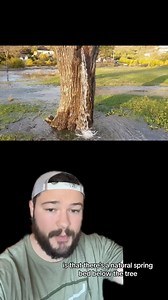 Why Is This Tree Spraying Water? 😳 | IdkSterling