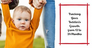 Amazing Milestones: Tracking Your Toddler's Growth from 12 to 24 Months