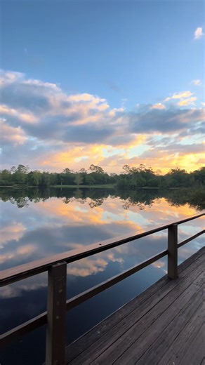 The reflection of the sky on the lake is everything 💚🌅🎣 #reflection #lake #fishing #peaceful #serene