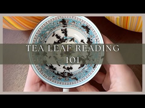 Tea Leaf Reading 101 - How to Read Tea Leaves for Beginners