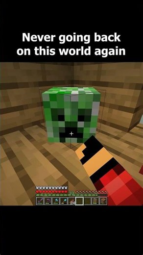 My world is possessed #minecraft