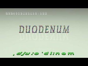 duodenum - pronunciation in British English (three voices / accents)