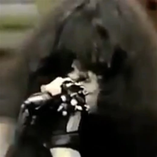 25K views · 2.2K reactions | RAMONES - Pet Sematary Live 1989 | Ramones Forever | Facebook