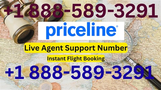 Priceline® {{ Customer Service }} Complete Guide to Live Chat, Email & Calls Step-by-Step Guide