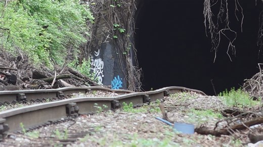 4.8K views · 52 reactions | A plan to turn an old railroad into a walk and bike trail is set to go before Knoxville City Council on Tuesday night. | WBIR Channel 10 | Facebook