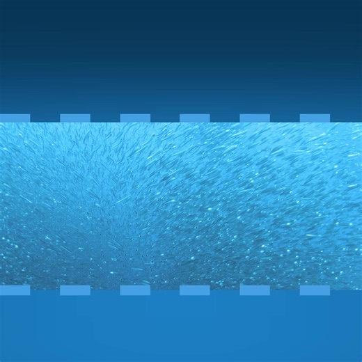 Stop losing fish! Our precision downriggers keep your bait at the perfect depth so you catch more, every time. | Hodges Marine