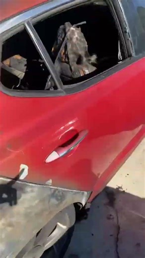 Tough Tote Bag Survives Car Fire || ViralHog