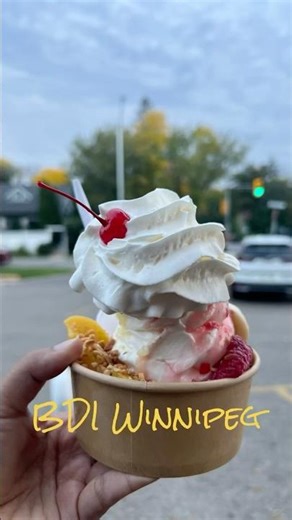 ⭕️Winnipeg's Best Ice Cream? (Bridge View Included!)