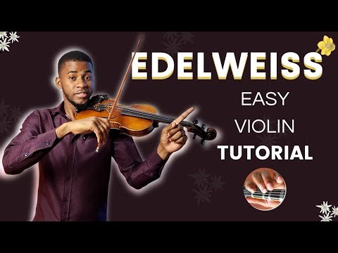 How To Play Edelweiss On The Violin - For Beginners *NO SHEET NEEDED*