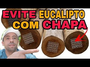 When buying treated eucalyptus, don't fall for this scam.