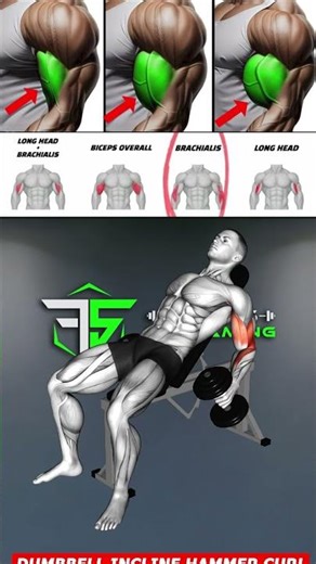 This Biceps Workout Focuses on Peak, Width and Strength to Build More Complete Arms 💪