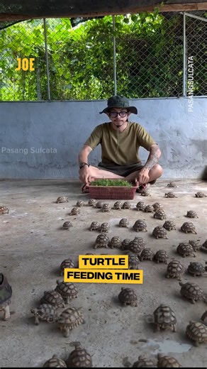 128K views · 525 reactions | The cutest thing you'll see today 殺❤️ | JOE.co.uk | Facebook