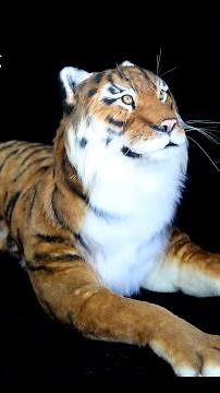 Tiger realistic plush toy