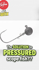 It’s always something that got the minnow guys going and now here’s another company trying to get more pressure fish in the boat! Have you used the @queentackle Ghost Jig Head or anything like it and seen a big difference? See the full @seafoamworks @sufixlines Top 5 on the Bass Blaster YouTube channel and at bassblaster.rocks | BassBlaster