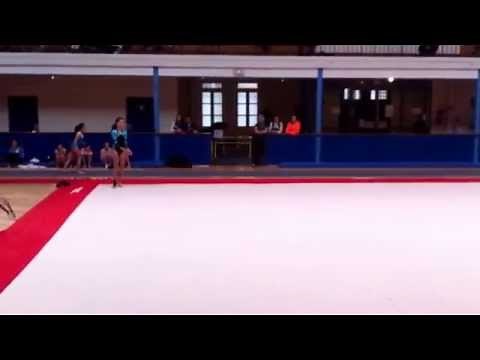 Sol gymnastique artistique (débutant )