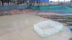 23 reactions | Semi biofloc fish farming  1,50,000 carp fish in this pond Profitable business in West Bengal Kharagpur. Start your own business in your back yard. | Sawang Daily Vlogs | Facebook