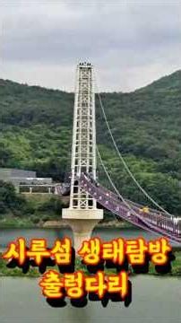 단양 시루섬 생태탐방교 출렁다리