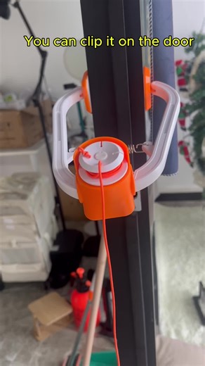 Indoor Cat Plays Like a Little Bird