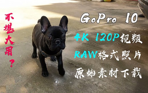 GoPro Hero 10 Black 评测日常 原始4K 120P视频素材 RAW格式照片分享