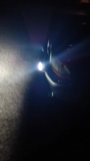 Watch These are the best value and great quality LED lights on Amazon Live