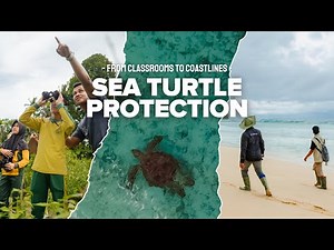 Protecting Sea Turtles on Bangkaru Island – From Classrooms to Coastlines 🐢