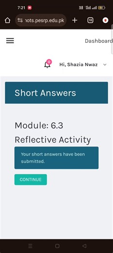 Module 6.3 Reflective activity