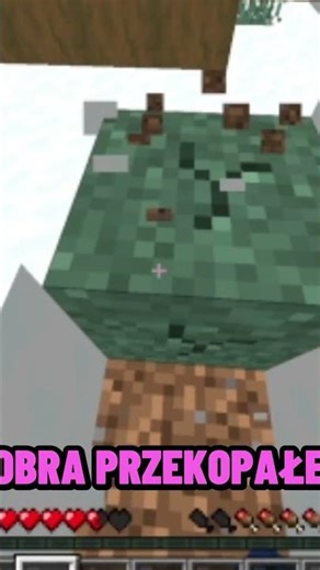 Minecraft, ale NIE MOGĘ SKAKAĆ 😱