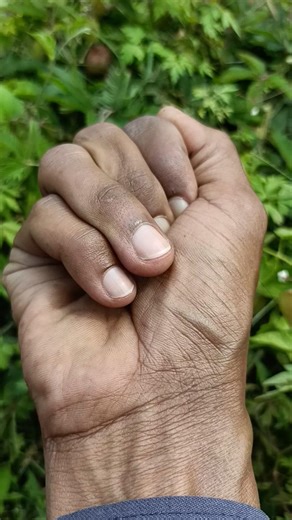 Red insects #nature #insects #wildlife