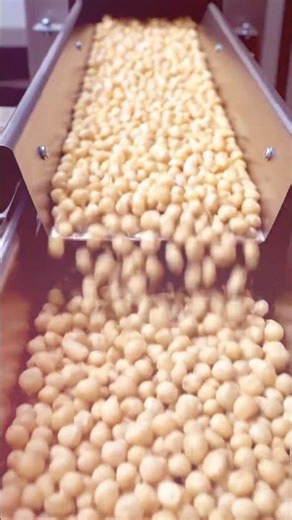 Inside a Modern Macadamia Nut Processing Plant #shorts