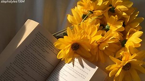 Harry Styles - Sunflower Vol.6 (Sub Español) | Harry Nation