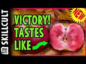 🍎 I DID IT! New Red Fleshed Apple Seedling is The Best Yet! ❤️