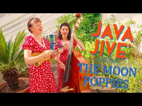 'Java Jive' THE MOON POPPIES (Oakland Conservatory, Midlands) BOPFLIX sessions