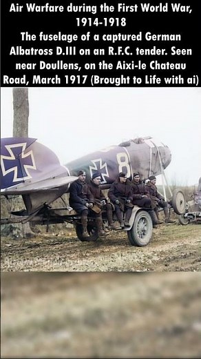 Captured German Albatross D.III in First World War Brought to life