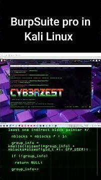 Kali Linux Burpsuite pro instalttion #ethicalhacking #cybersecurity #kalilinux