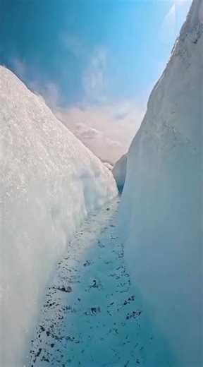 spp song 🎶🎶🎵🎵