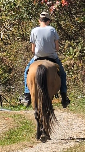 1.3K views · 106 reactions | Grandson Jake helping me with training horses | Glen Hagerman | Facebook