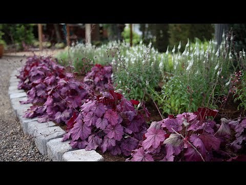 Planting a New Flowerbed // Garden Answer
