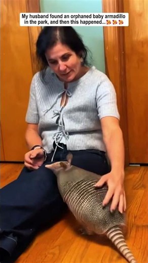 He Adopted An Armadillo