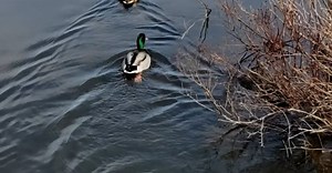 Video by NQPPresents on Pexels