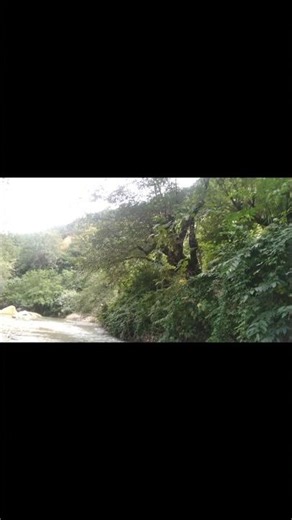 ۲۳ دسامبر ۲۰۲۵