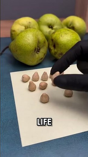 Watch These Tiny Fruit Sculptures Come to Life! #Shorts