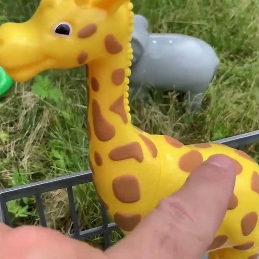 Bumpy Ride! 🦒 Our Giraffe on the Toy Truck!