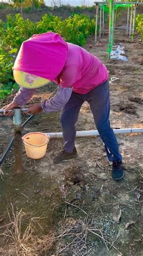 Digger Tool – Easy Digging, Maximum Efficiency ⚙️🌾#shortsfeed #shorts #agriculture