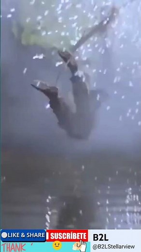 📽️Predator movie/Arnold classic final fight scene