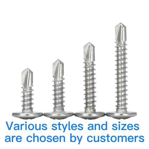 Customized Machine Screw M2 M3 M4 M5 M6 Brass Stainless Steel Oxide Black Pan Flat Truss Phillip Head Self Tapping Screw