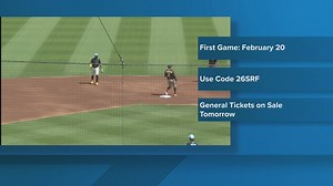 Diamondbacks Spring Training tickets on sale Dec. 11