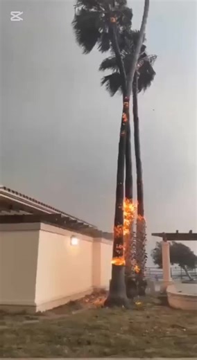 Los Angeles Wildfires 2025: Intense Fire Footage